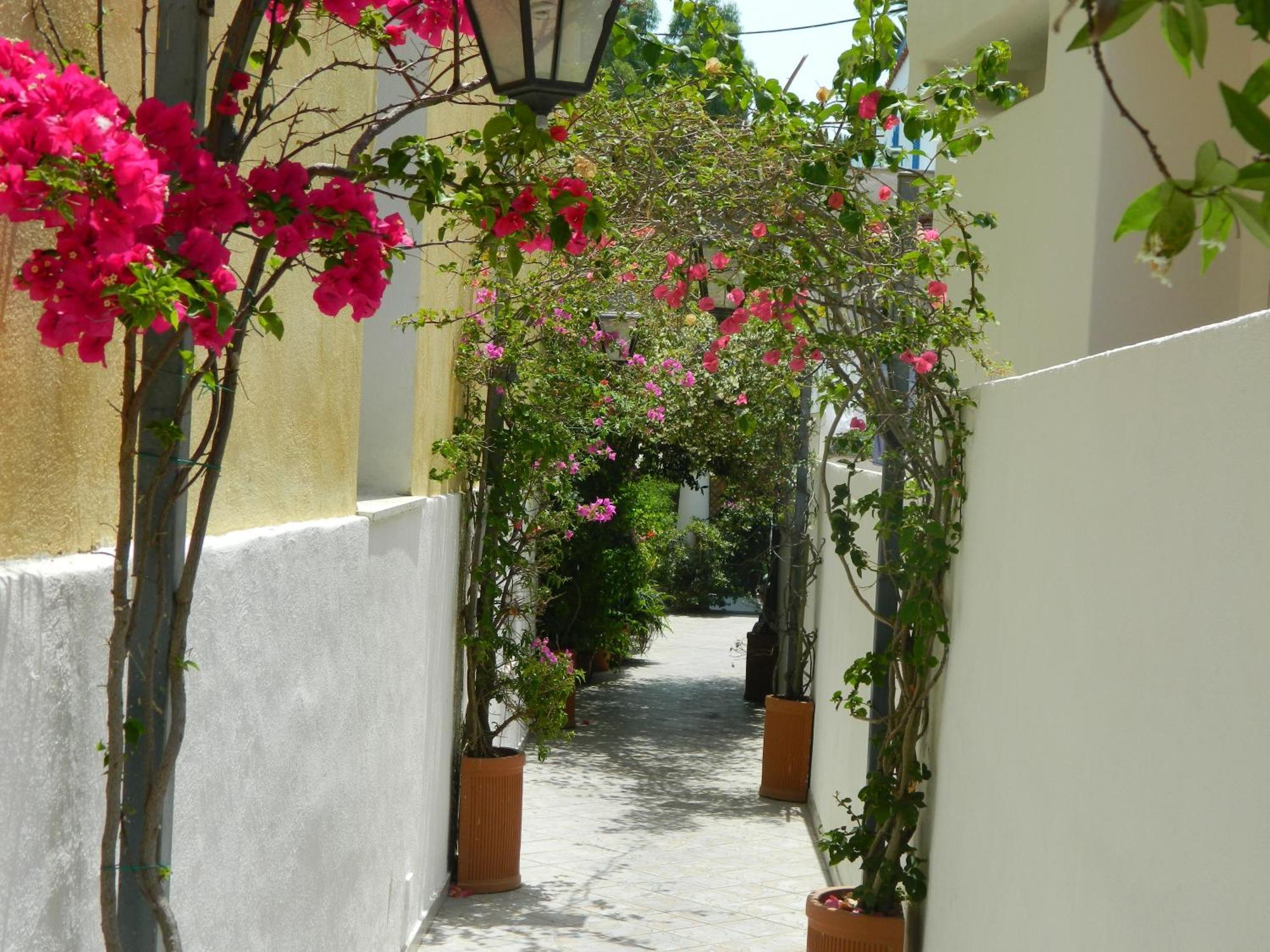 Hotel Villa Hermosa Ischia Exterior foto